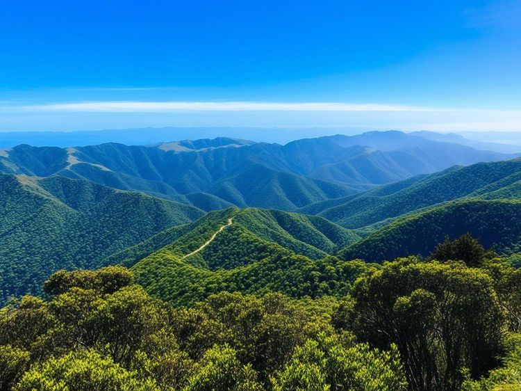 Exploring Waiourus Outdoor Adventures Hiking Trails Scenic Views and More