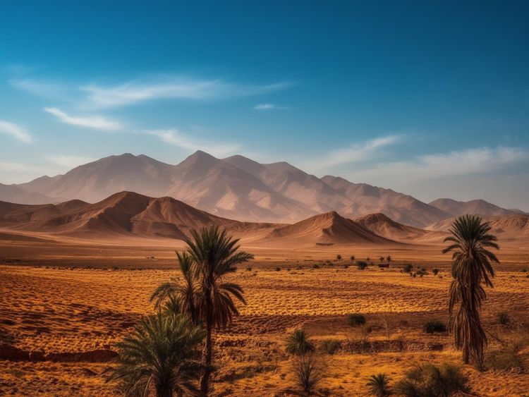 Discover the Unique Culture and Landscape of Tafraoute Best Times to Visit and Activities