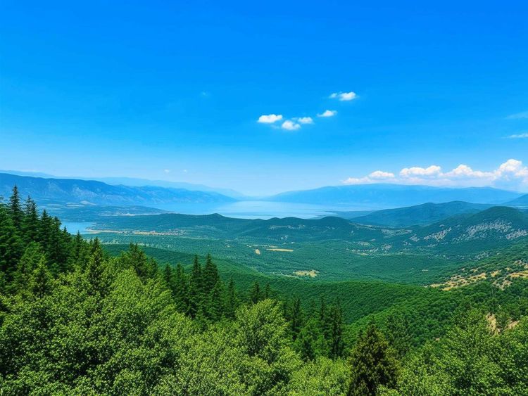 Best Day Trips from Struga Exploring the Natural Beauty of North Macedonia