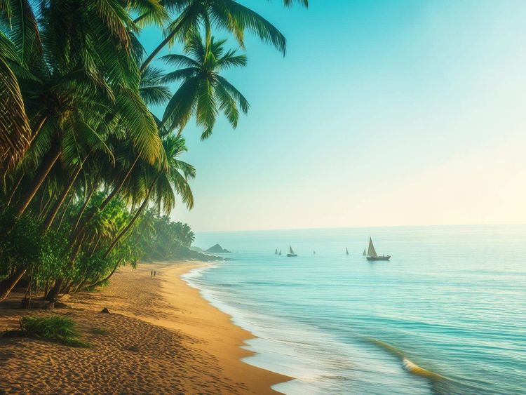 Exploring Hikkaduwa A Cultural and Natural Journey Through Sri Lankas Hidden Gem