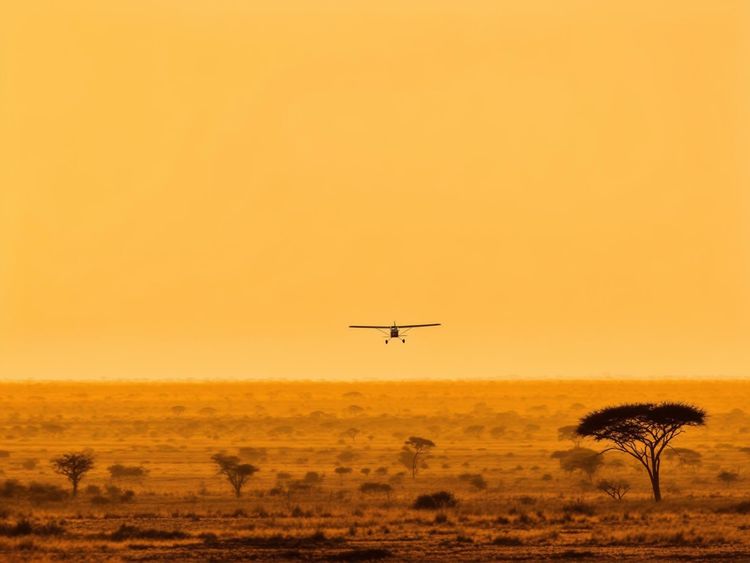 Affordable Hotels and Flights to Maun Botswana for Your Next Vacation