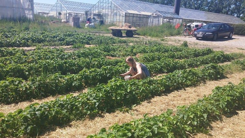 Cottage Farm Bed & Breakfast