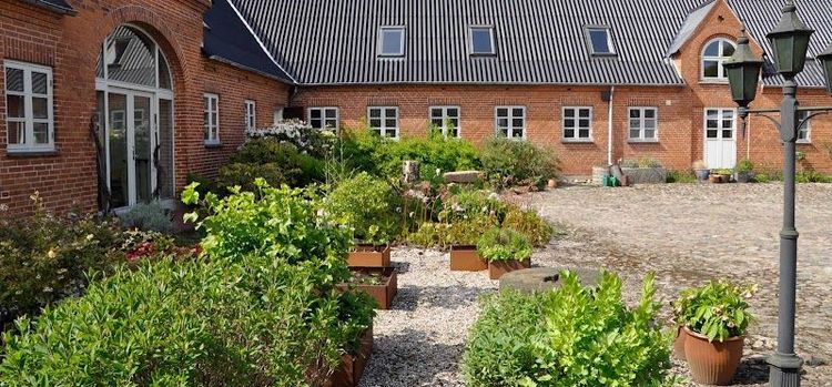 Lundsgaard Bed & Breakfast - Faaborg - Denmark