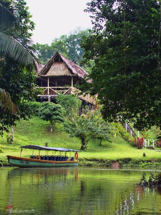 Amazon Rainforest Lodge