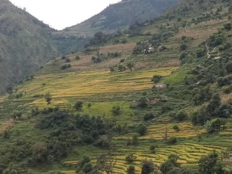 Hotel Sathi - Dhangarhi - Nepal