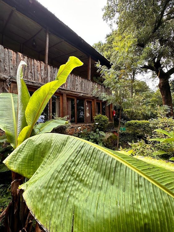 Naiberi River Campsite & Resort - Eldoret - Kenya