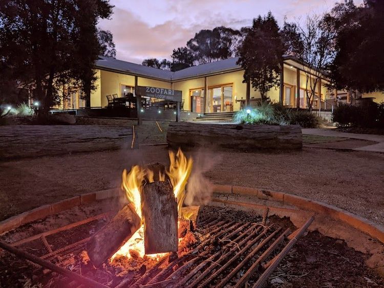 Zoofari Lodge Dubbo - Dubbo - Australia