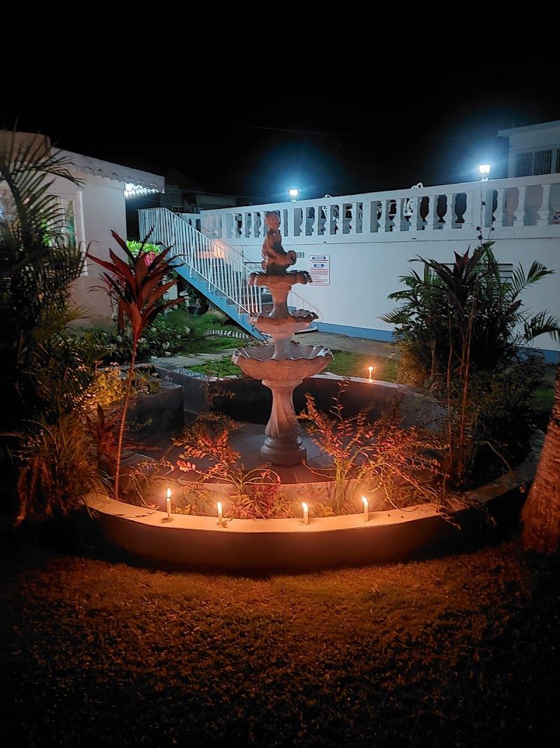 Palm Tree Guest House