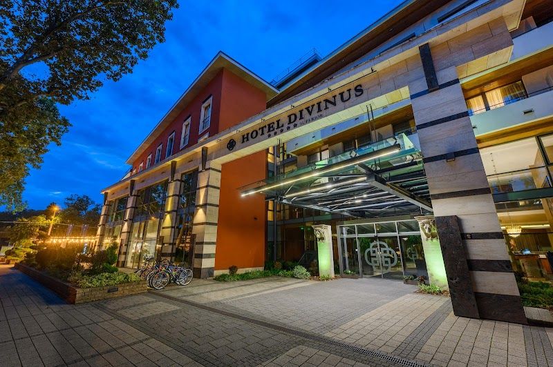 Hotel Divinus