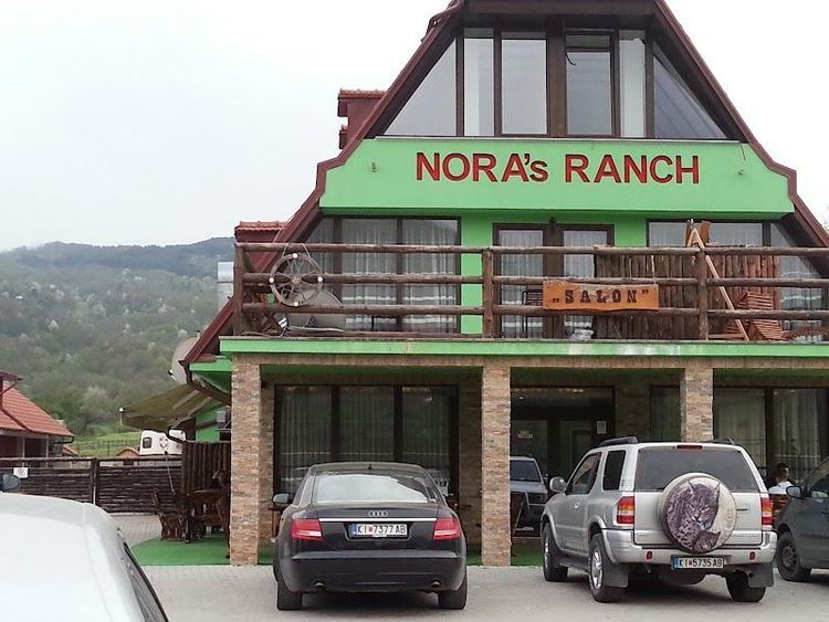 Kičevo Park Hotel - Negotina - North Macedonia