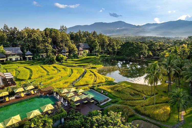 Four Seasons Resort Chiang Mai - Chiang Mai - Thailand