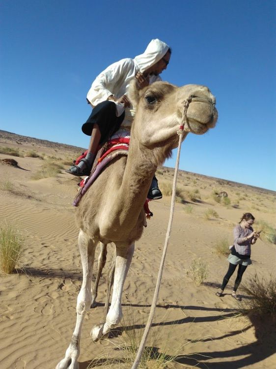 Auberge Zarga - Chinguetti - Mauritania