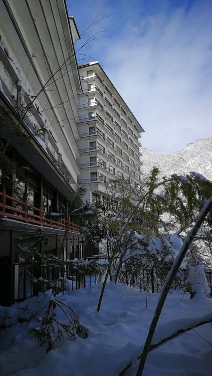 Aizu Ashinomaki Onsen Okawaso - Aizuwakamatsu - Japan