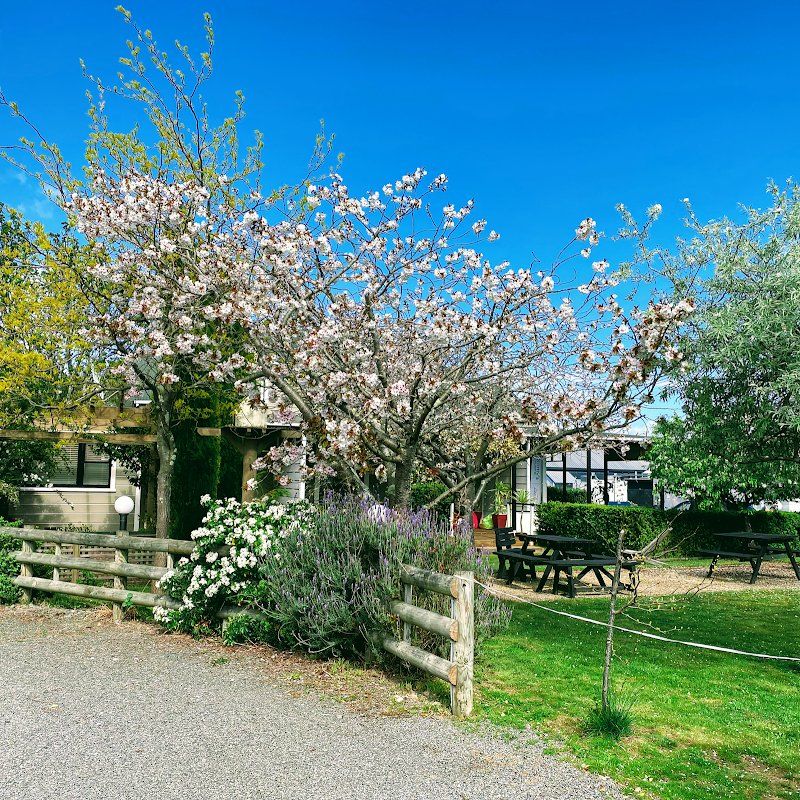 Pinot Villas Martinborough