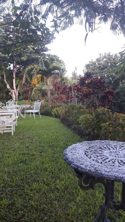 June Plum Bed and Breakfast