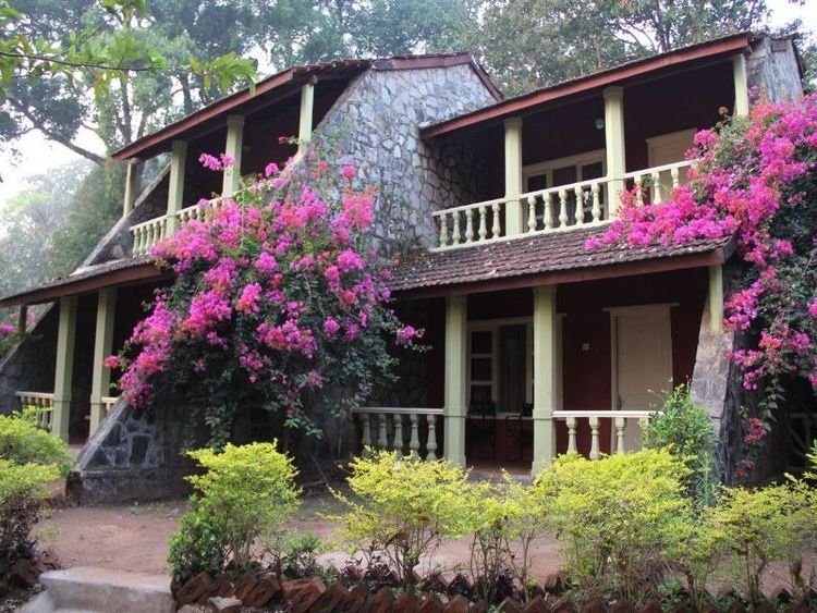 Bison River Resort - Dandeli - India