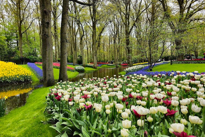 Keukenhof