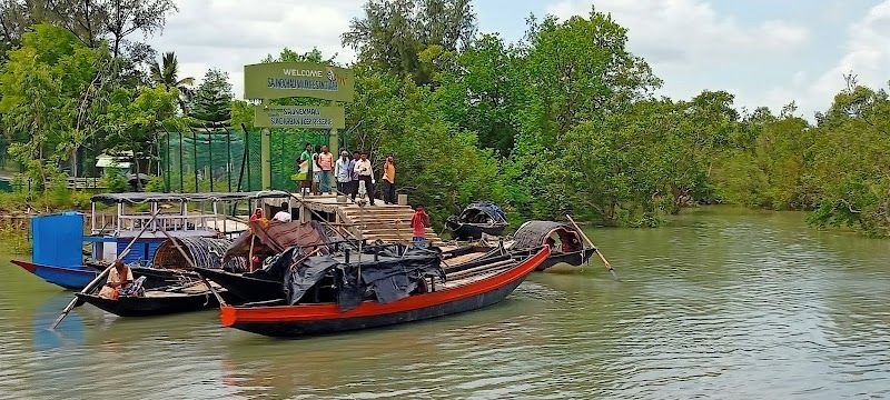 Boat Cruise through Mangrove Forests