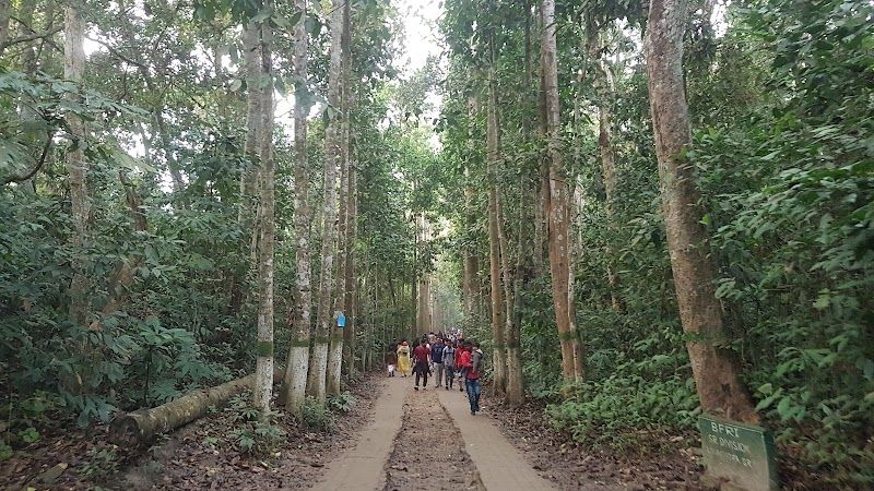 Explore Lawachara National Park