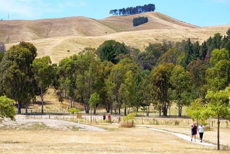 Explore Wither Hills Farm Park - Blenheim - New Zealand