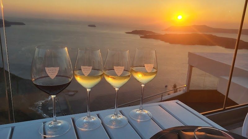 Wine Tasting at a Santorini Vineyard
