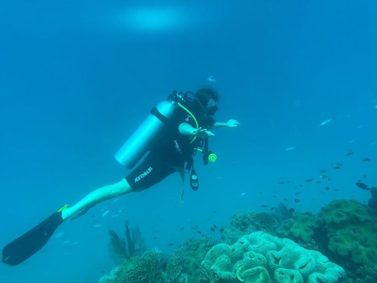 Great Barrier Reef Snorkeling and Diving - Cairns City - Australia