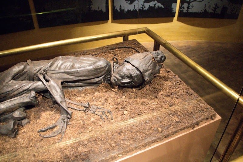 Silkeborg Museum and Tollund Man Exhibit
