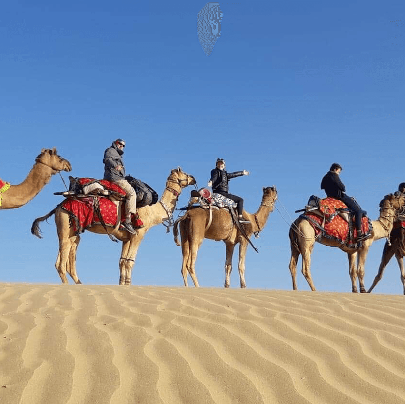 Camel Safari in the Thar Desert