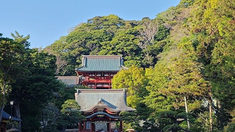 Tsurugaoka Hachimangu Shrine - Kamakura - Japan