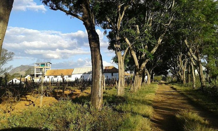 Wine Tasting in the Betsileo Region - Fianarantsoa - Madagascar