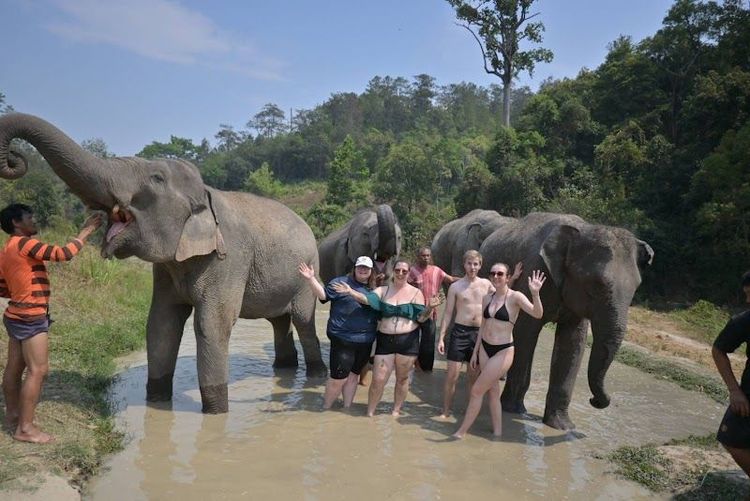 Take an Ethical Elephant Sanctuary Tour - Chiang Mai - Thailand