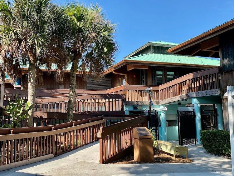 Gumbo Limbo Nature Center - Boca Raton - United States