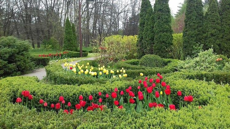 Botanical Garden of Kuban State University - Krasnodar - Russia
