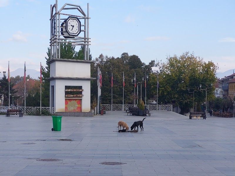 Attend the Strumica Carnival