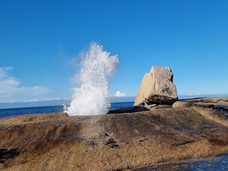 Bicheno Blowhole