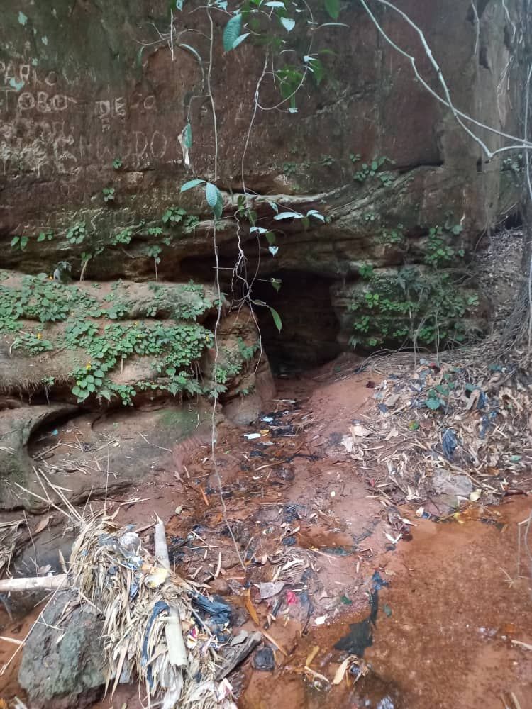 Ngwo Pine Forest and Caves