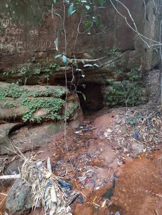 Ngwo Pine Forest and Caves - Ngwo-Asaa - Nigeria