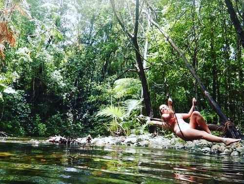 Daintree Rainforest Tour - Cairns City - Australia