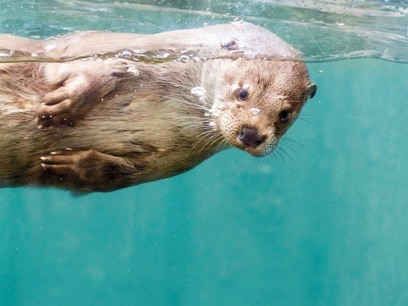 AQUA Aquarium & Wildlife Park