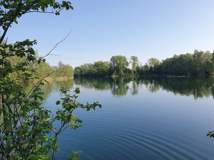 Rheinauen Nature Reserve - Lustenau - Austria