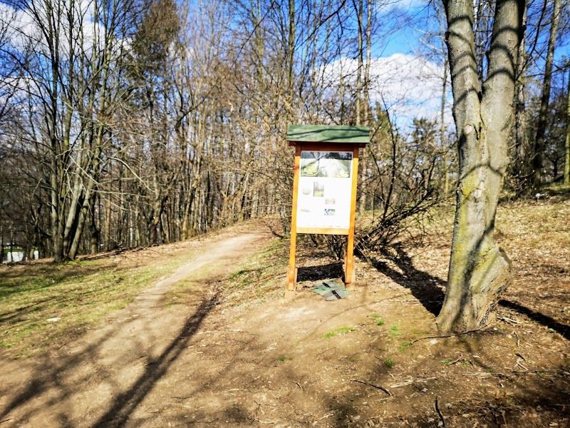 Brezina Forest Park