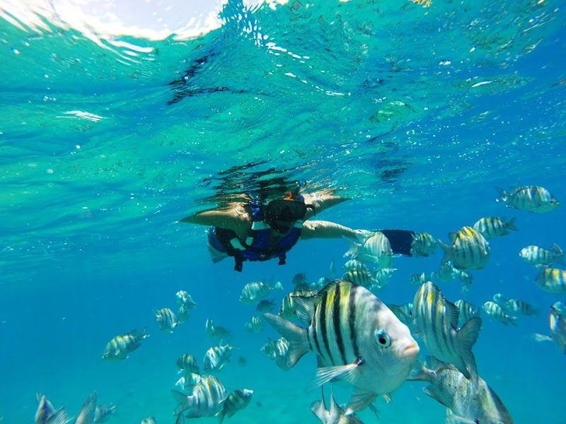 Exploring the Marine Sanctuary