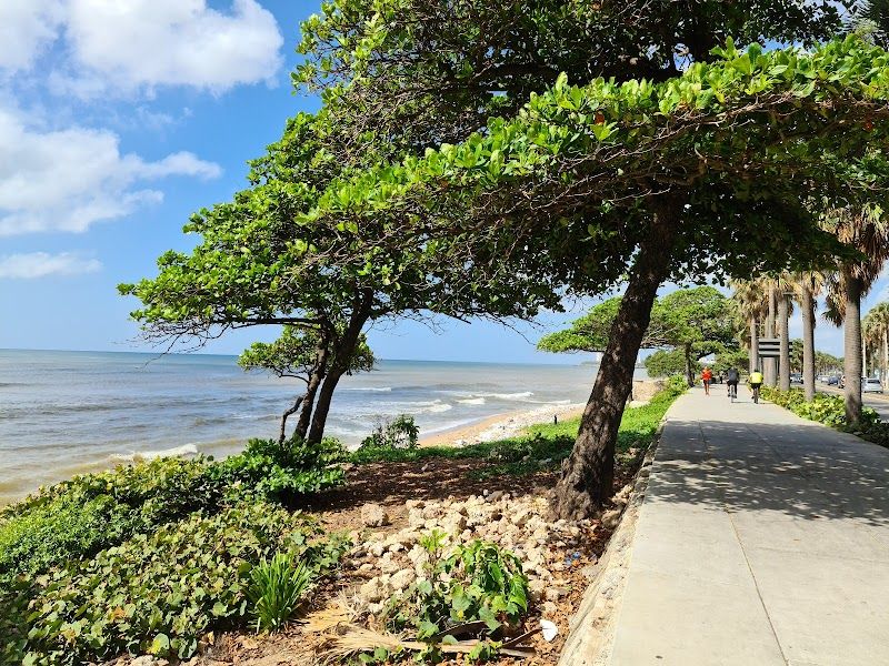 Walk along the Malecón (George Washington Avenue)