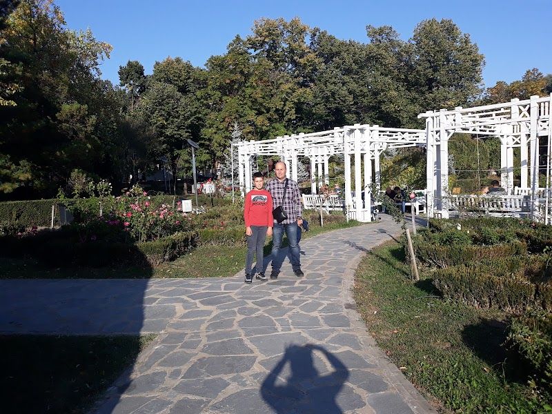 Stroll through Roses Park (Parcul Rozelor)