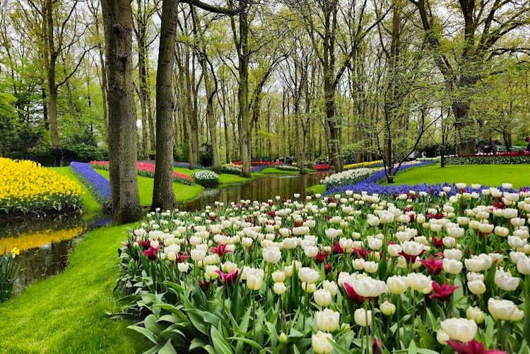 Keukenhof Gardens - Lisse - Netherlands
