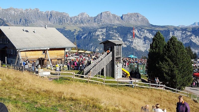 Heidiland Tour from Landquart