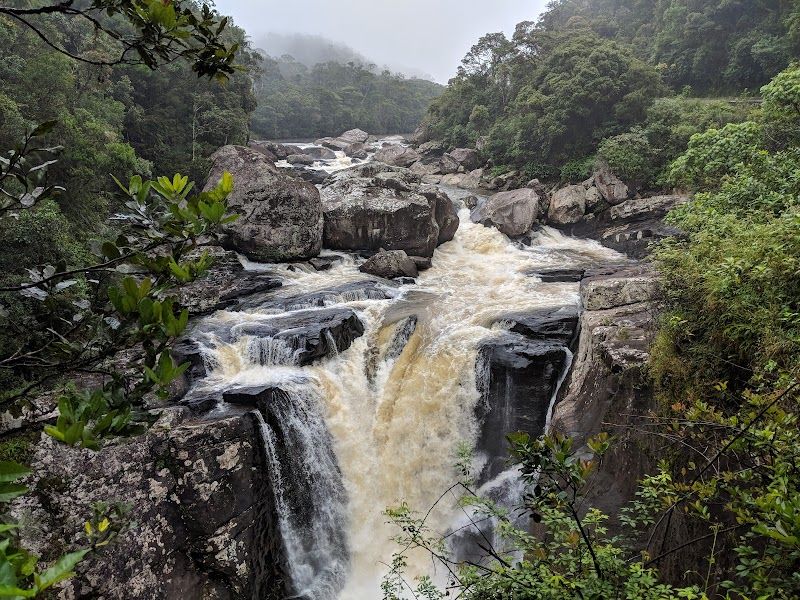 Visit to Ranomafana National Park