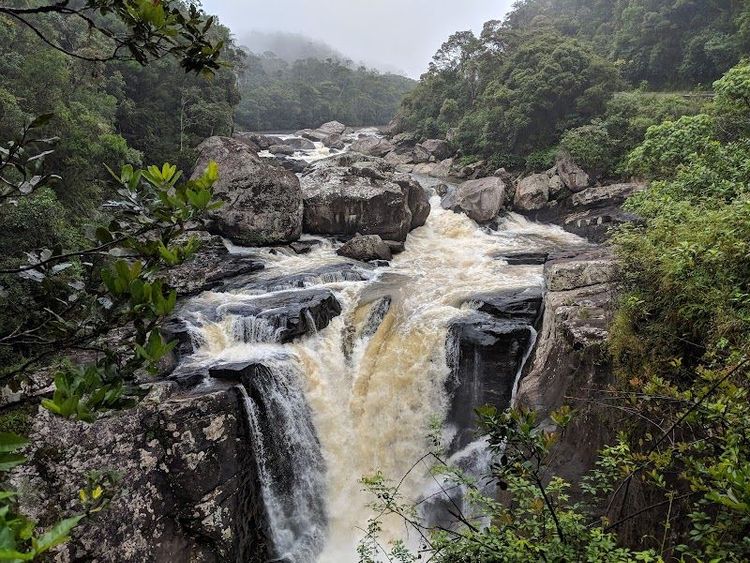 Visit to Ranomafana National Park - Madagascar