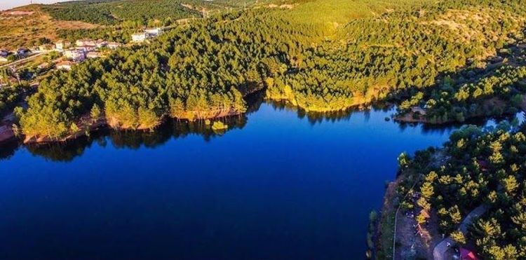 Yozgat Pine Grove National Park - Yozgat - Türkiye
