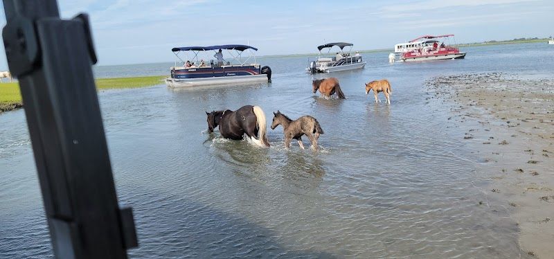 Pony Watching and Boat Tours